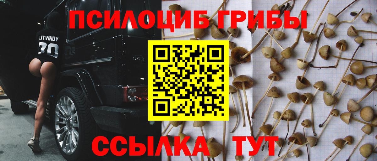Кудымкар  купить наркоту  Галлюциногенные грибы Psilocybe  Вход с VPN  Псилоцибиновые грибы Cubensis 
