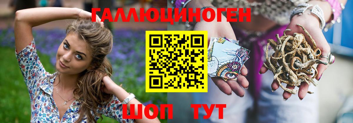 Галлюциногенные грибы Psilocybe Кудымкар